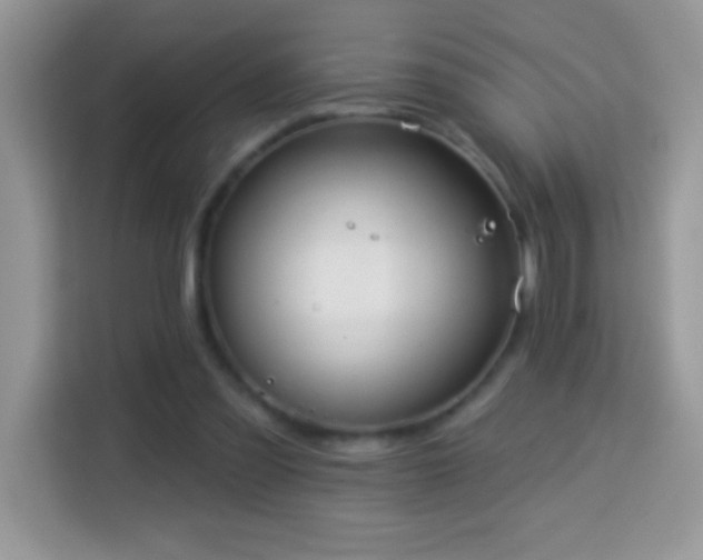 X0000114160301200910081359