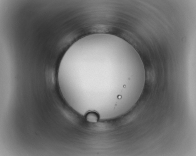 X0000114160302200910081359