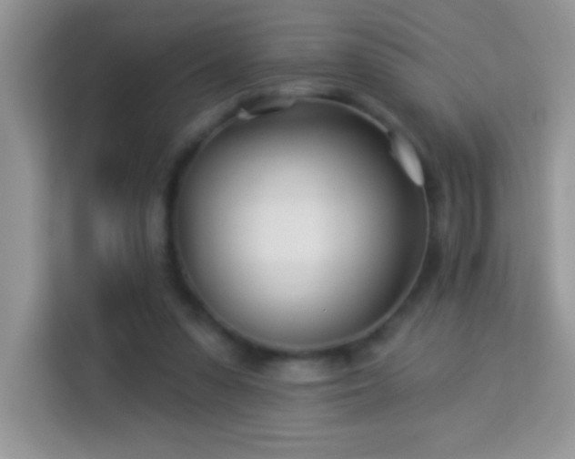 X0000114160303200910081359