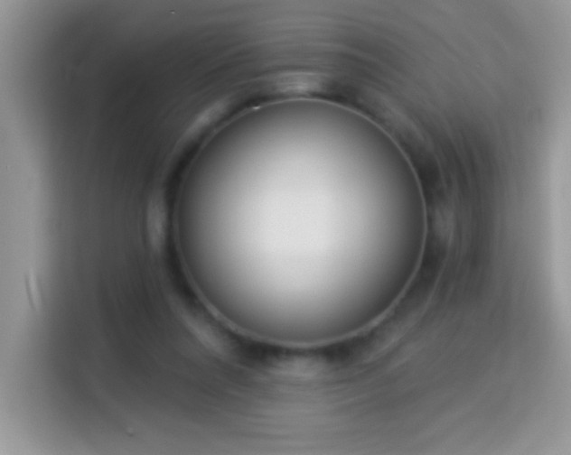 X0000114160304200910081359