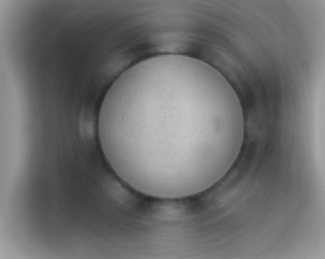 X0000114160305200910081359