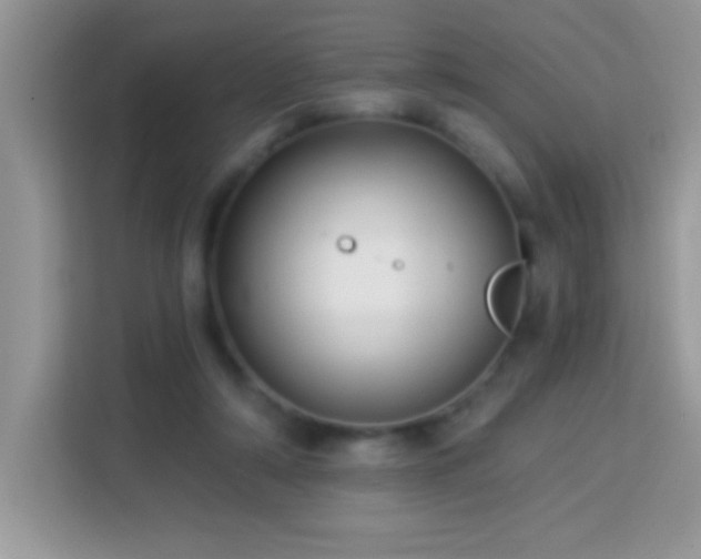 X0000114160306200910081359