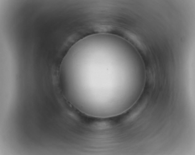 X0000114160307200910081359