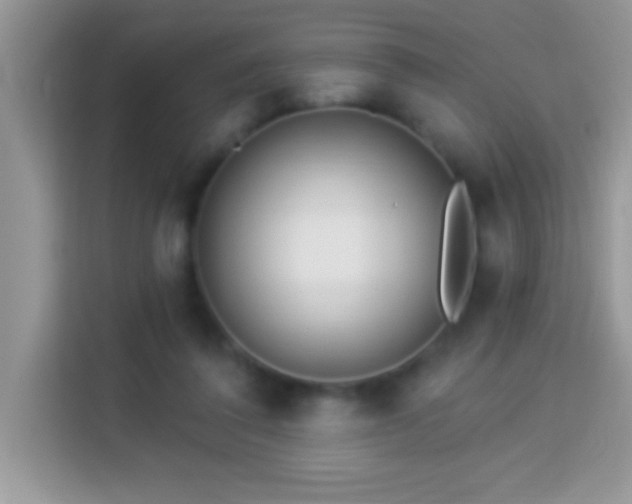 X0000114160308200910081359