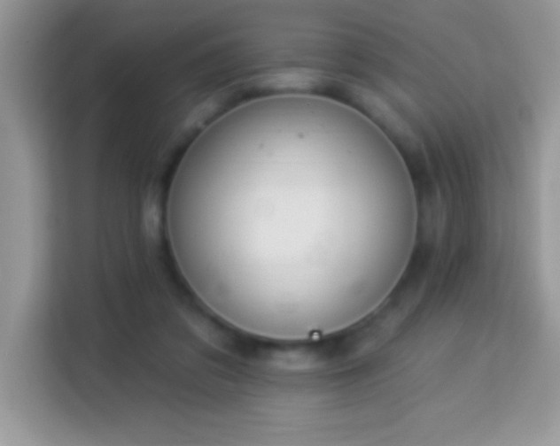 X0000114160309200910081359