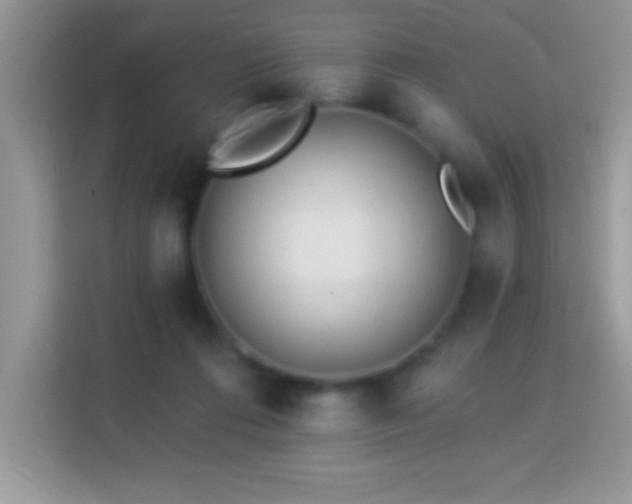 X0000114160312200910081358