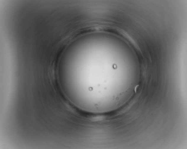 X0000114160313200910081358