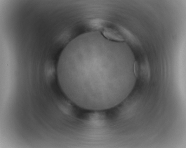 X0000114160320200910081358