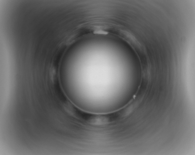 X0000114160327200910081358