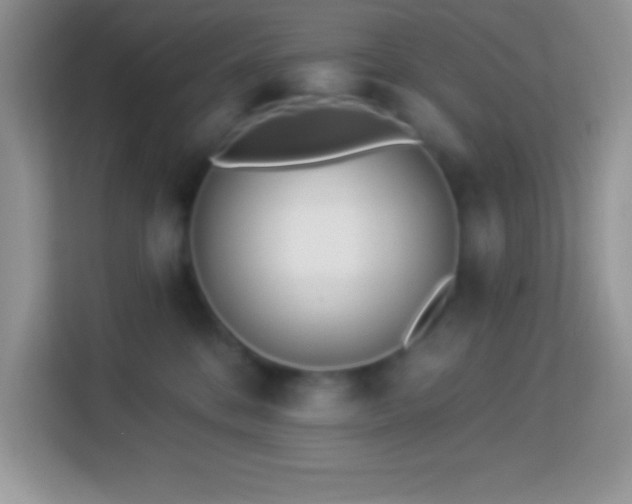 X0000114160328200910081358