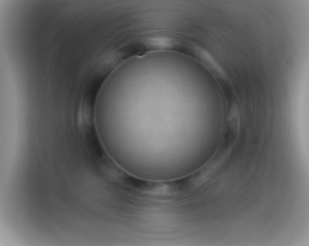 X0000114160330200910081358