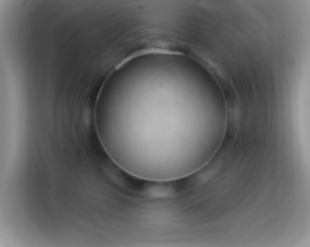 X0000114160331200910081358