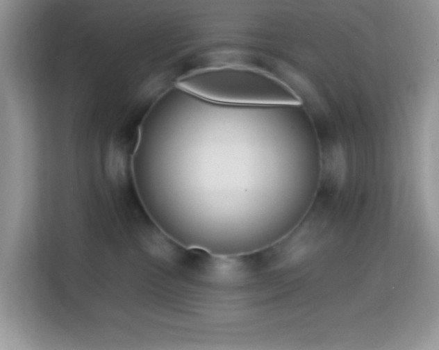 X0000114160333200910081358