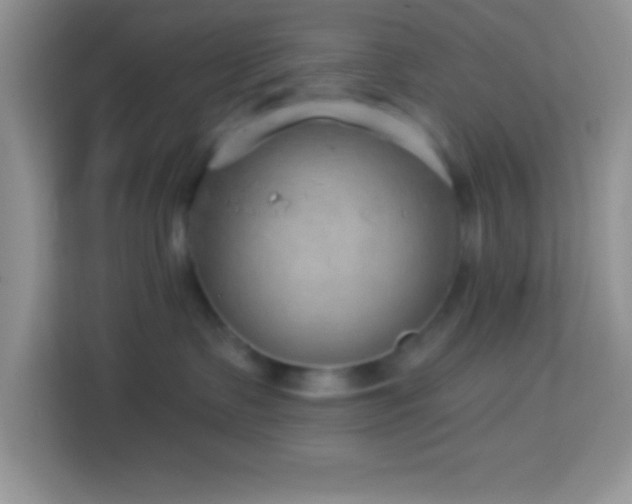 X0000114160335200910081358