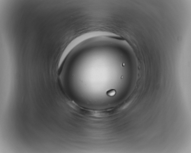 X0000114160336200910081358