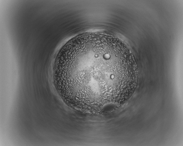 X0000114160337200910081358