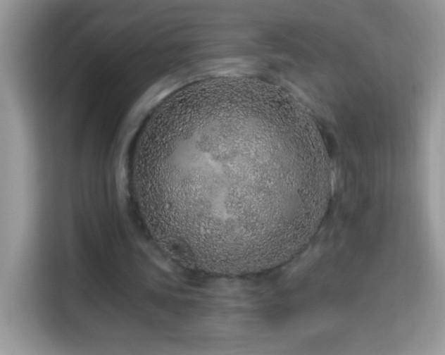 X0000114160339200910081358