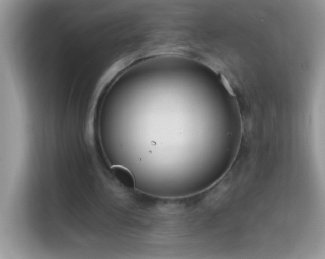 X0000114160340200910081358