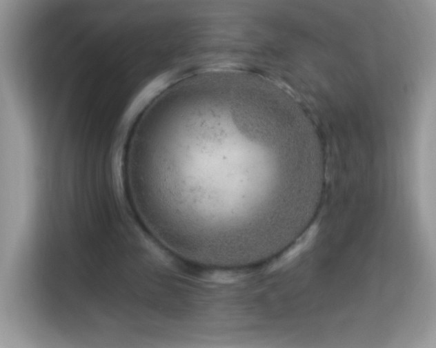 X0000114160341200910081358