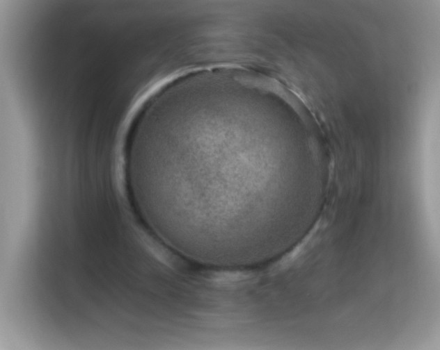 X0000114160342200910081358