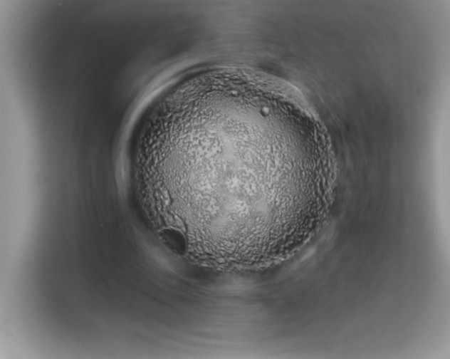 X0000114160343200910081358