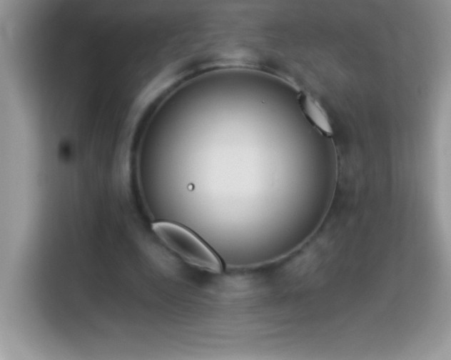 X0000114160344200910081358