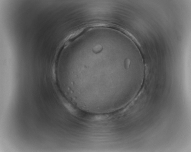 X0000114160345200910081358