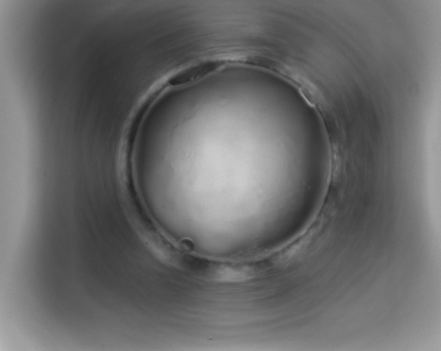 X0000114160346200910081358