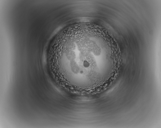 X0000114160347200910081358