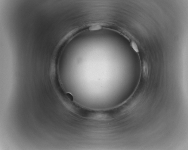 X0000114160348200910081358