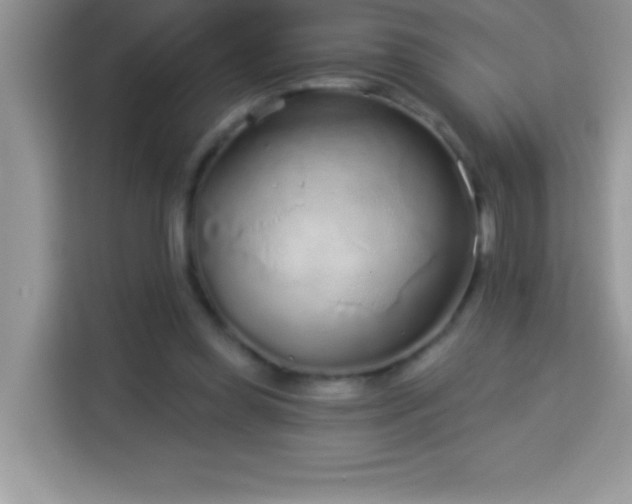 X0000114160349200910081358