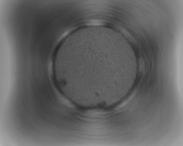 X0000114160351200910081358