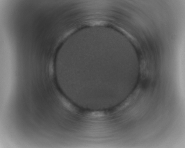 X0000114160353200910081358