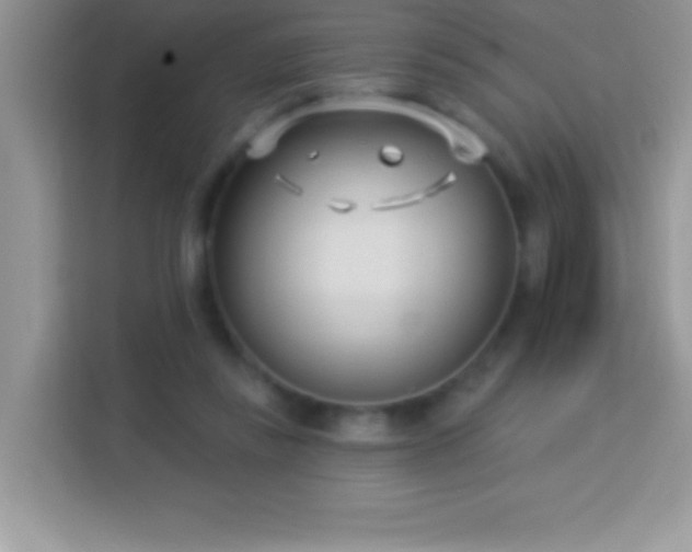 X0000114160355200910081358