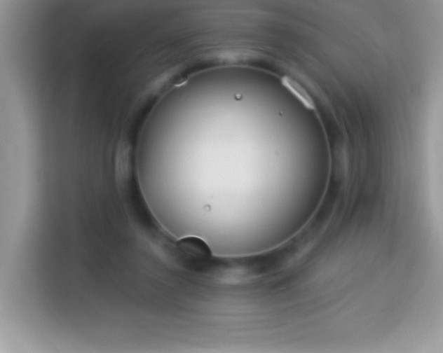 X0000114160356200910081358