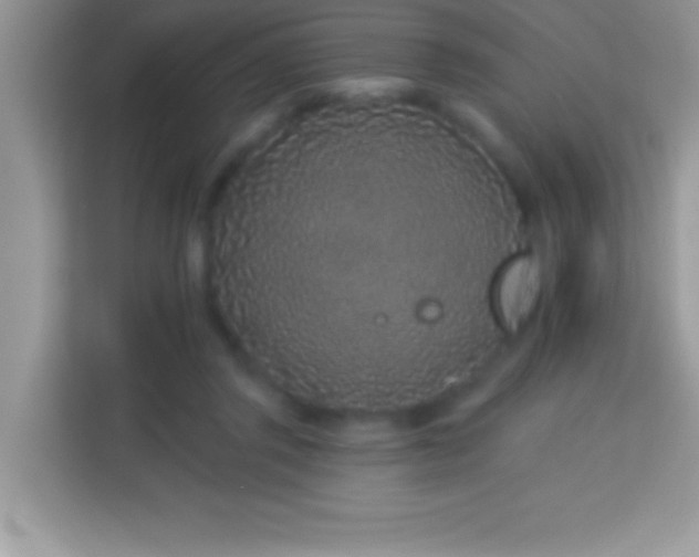 X0000114160357200910081358