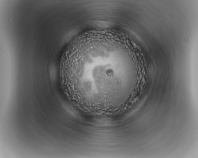 X0000114160359200910081358