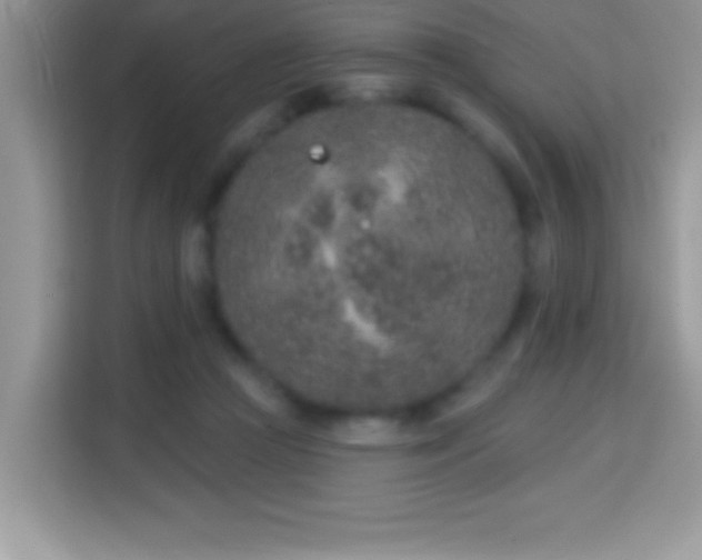 X0000114160361200910081358