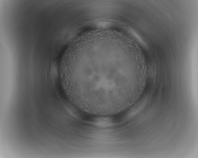 X0000114160363200910081358