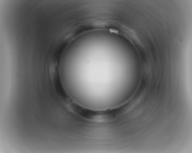 X0000114160364200910081358