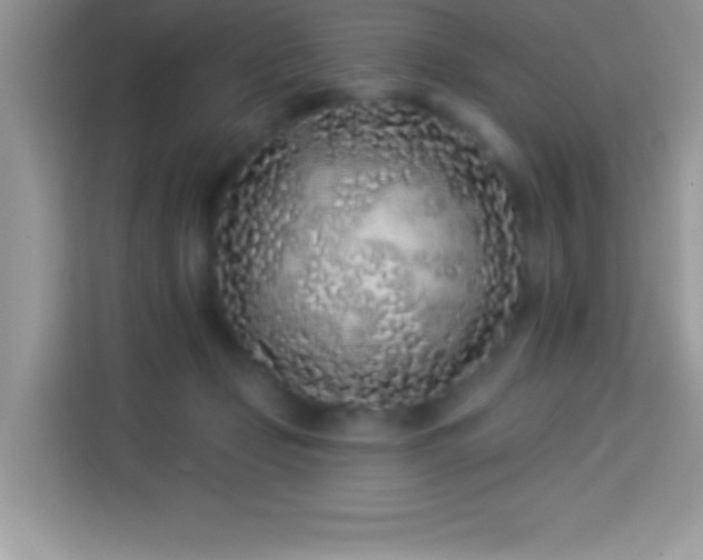 X0000114160365200910081358