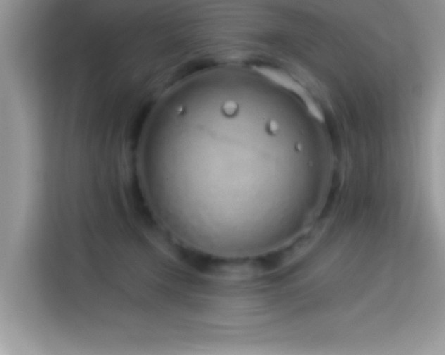 X0000114160366200910081358