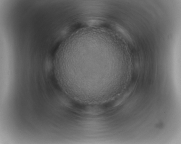 X0000114160367200910081358