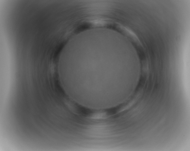 X0000114160369200910081358