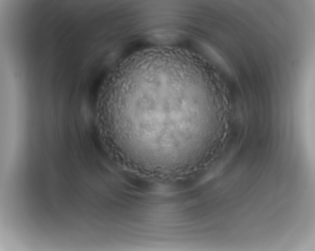 X0000114160371200910081358