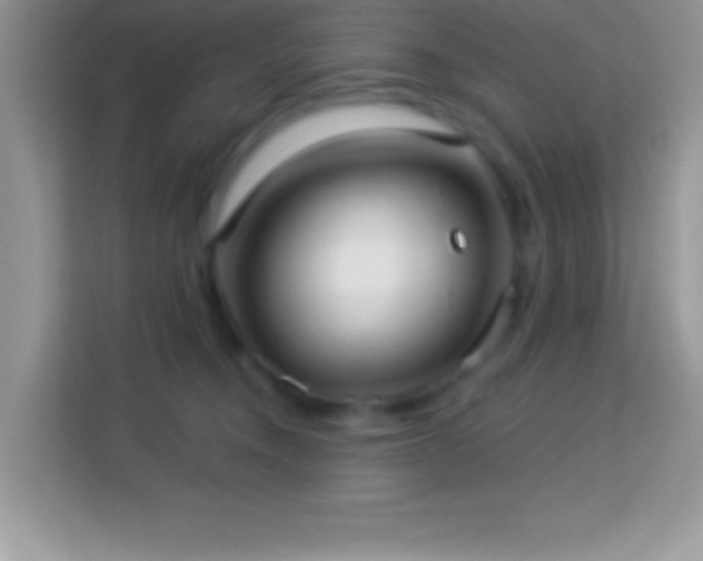 X0000114160372200910081358