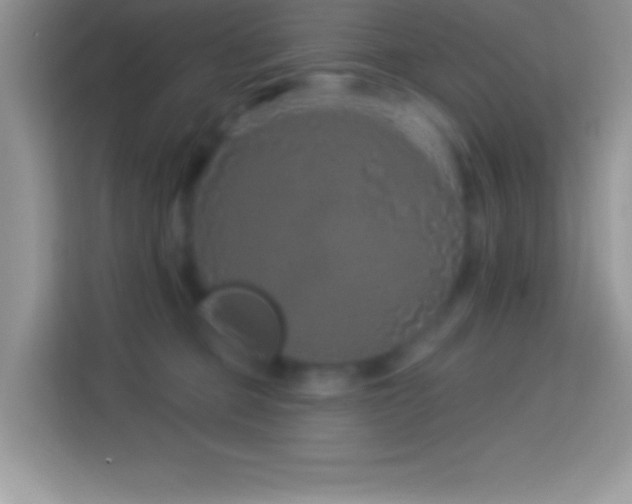 X0000114160373200910081358