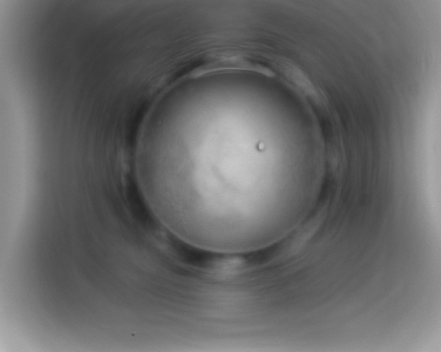 X0000114160374200910081358