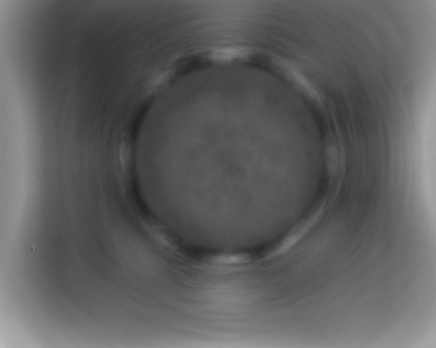 X0000114160375200910081358