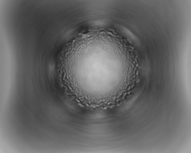 X0000114160377200910081358